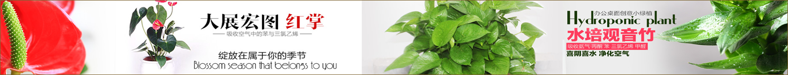 picture/23_1474528234546889.png picture/24_22-1.png